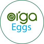 Orga Eggs